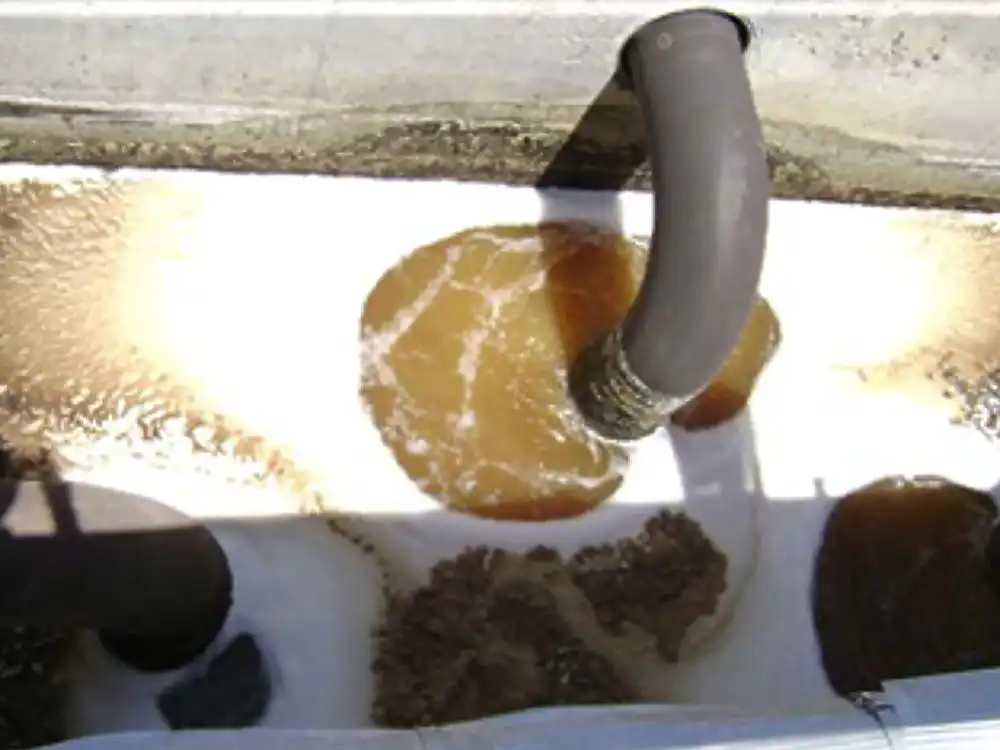 Grease traps - Lyve Innovations